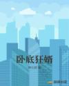 卧底狂婿章节列表