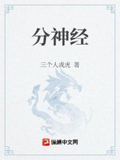分神经章节列表