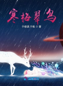 寒梅翠鸟章节列表