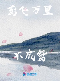 鸢飞万里不成鸳章节列表
