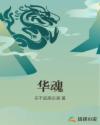 华魂章节列表