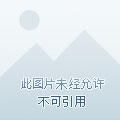 不死狂神章节列表