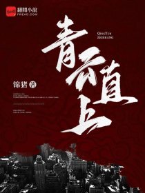 神级摄影师章节列表