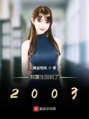 我重生回到了2003章节列表