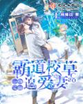 甜妻攻略章节列表
