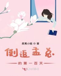 倒追孟总的第一百天章节列表