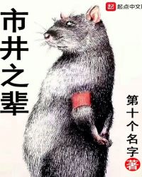 市井之辈章节列表